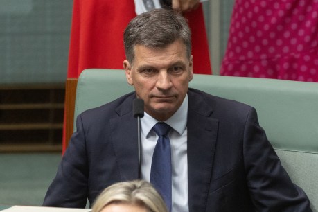 It’s on: Meeting sought for Liberal leadership spill