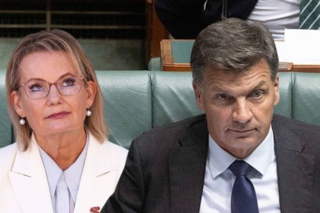 What we know about Lib leadership aspirant Taylor