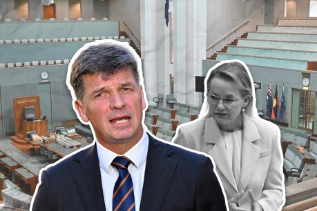 Liberals jostle as 'change or die' showdown confirmed