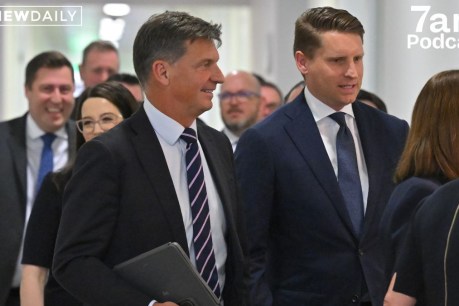 Friday face-off: Inside the Libs’ leadership spill