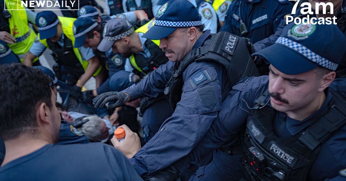Provocation Australia Why protests are getting more dangerous in Australia