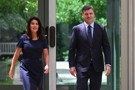 Taylor outlines vision for Libs, as Ley set to quit politics