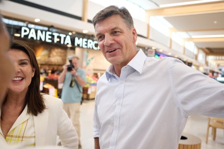 Liberal poll boost as Taylor mulls frontbench
