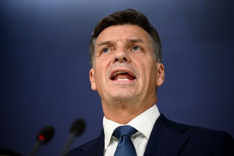 Coalition leads One Nation after leadership swap