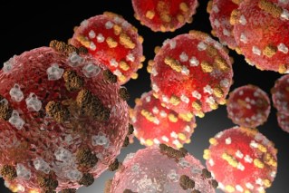 Measles cases rise amid concerning vaccine trend