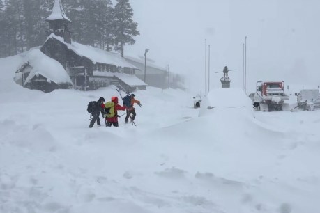 Eight skiers found dead in horror avalanche