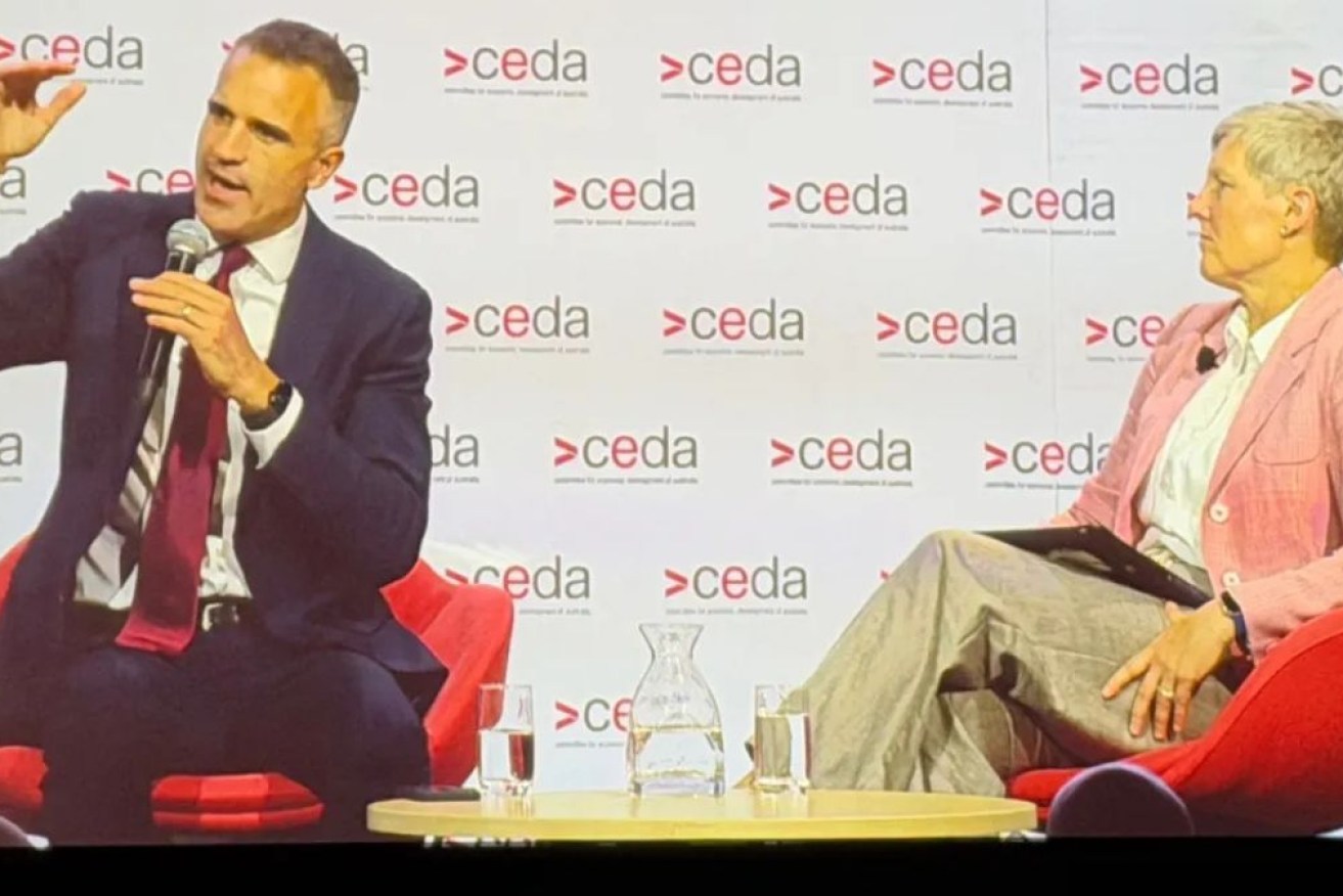 SA Premier Peter Malinauskas has delivered a blunt warning for One Nation voters.