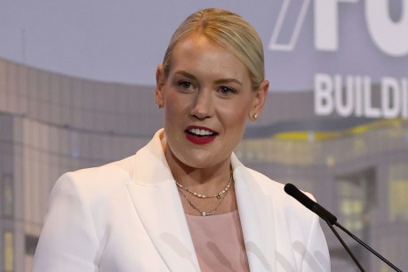 'Bizarre': Libs attacked over One Nation statement