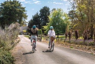SA’s best bike trails: 10 rides for every kind of cyclist