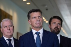 'So-called children': Liberal attack over IS brides