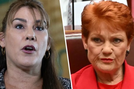 'I don't take it back': Hanson stands by slur