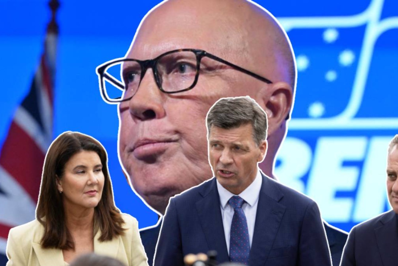 The review is more post-mortem than a blueprint for a future Liberal Government.