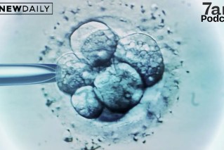 Giving birth to a stranger’s baby: Cost of IVF errors