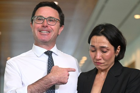 'Buggered' Littleproud quits as Nationals leader