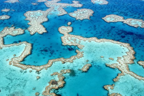 Great Barrier Reef makes 2026 global bucket-list