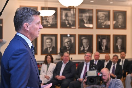 One Nation overtakes Coalition in major poll