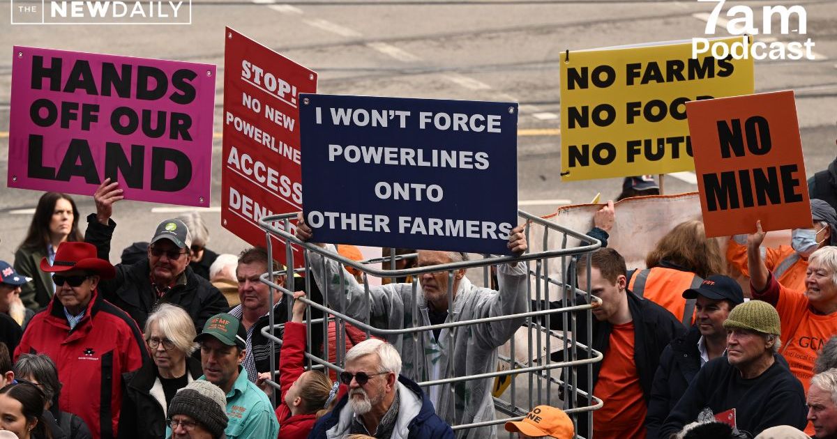 'Grown men reduced to tears': Laws push farmers to the brink