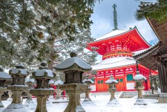 Sightseeing train to link Japanese tourist hotspots