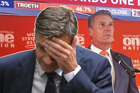 SA election result will send shivers down Taylor’s spine