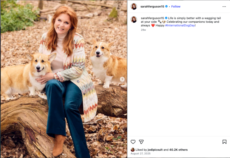 ferguson queen corgi