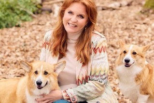 Fergie denies bizarre TV plan for queen's corgis