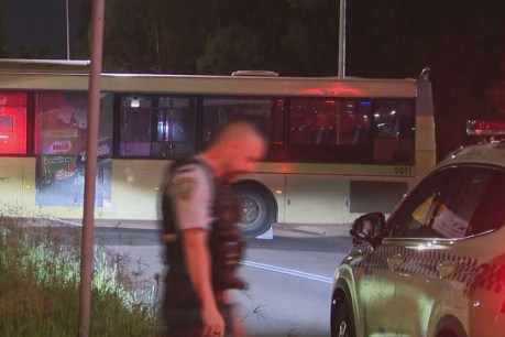 Two motorbike-riding teens killed on busway