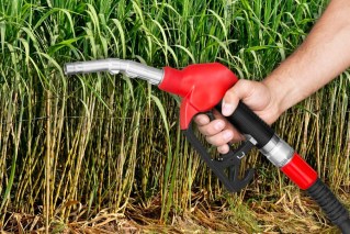 Is E10 fuel bad for my car? Could it save me money?