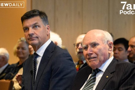 Migrants draining nation: Taylor's hard-line plan