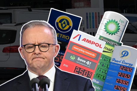 Australia to lead world in inflation: IMF