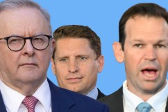 Voters want fighters — not managers
