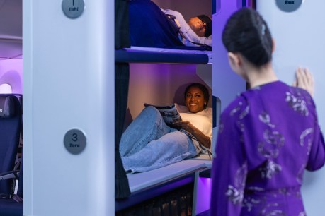 Bunk beds for economy travellers cleared for flight