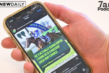 Albanese’s gambling ad gamble: Too little too late?