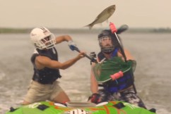 Fishermen don helmets as invasive fish fight back