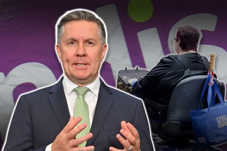 'Frightening': Sector braces for NDIS impact