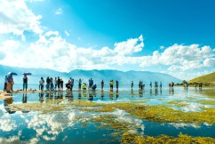 'Coolcation' trend drives unexpected travel hotspots