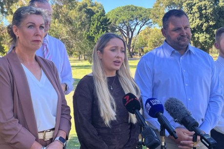 One Nation MP's fate decided after fresh count