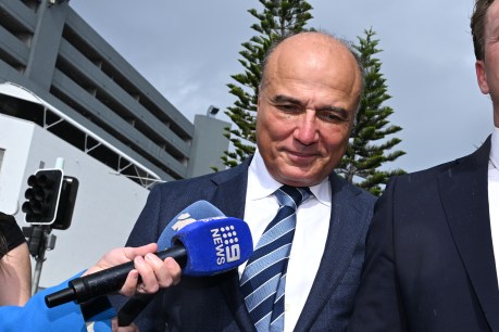Ex-premier's partner charged with rape