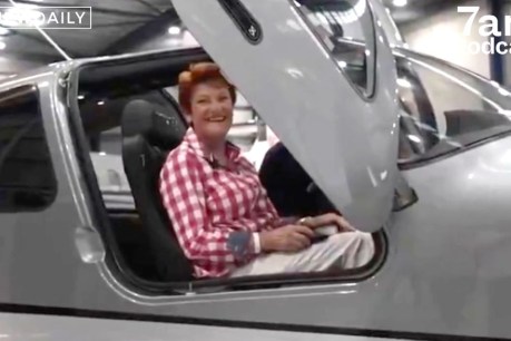 Pauline’s private plane and the week in politics