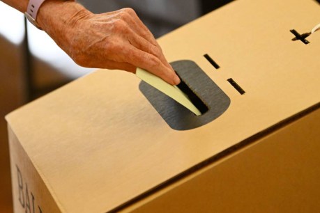 Election shines light on 'forgotten community'