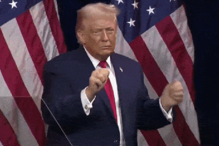 Melania Trump ‘hates’ Donald’s viral <i>YMCA</i> dance