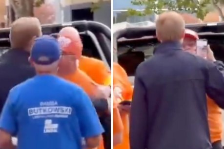Hanson’s reversal after volunteer’s senator scuffle