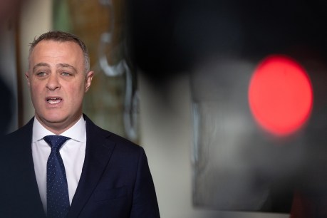 'Never, ever': Tim Wilson rules out Hanson alliance