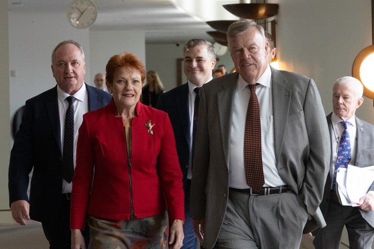 Economy not the only reason for One Nation's rise