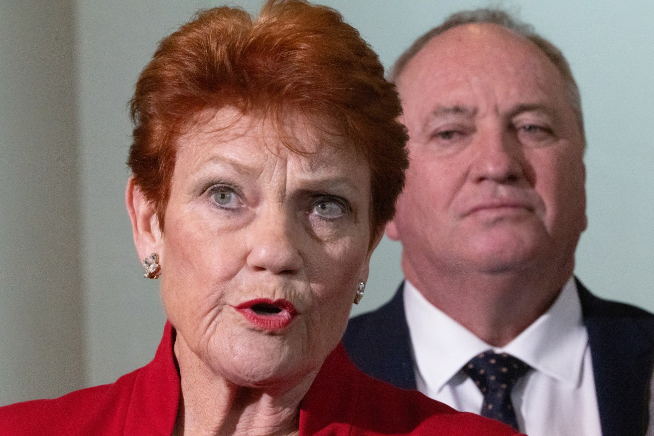 One Nation, led by Pauline Hanson with Barnaby Joyce as a recent recruit, is owning grievance politics unchallenged.