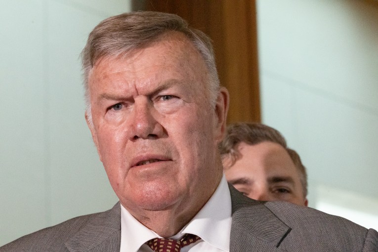 Hanson steps in on One Nation migration targets