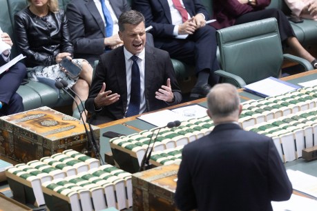 Australians worse off under Liberals' tax index plan