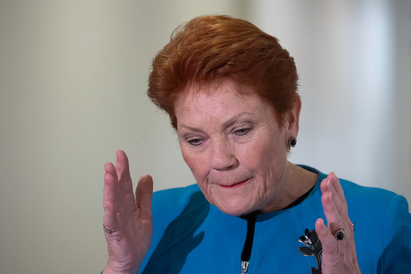 Pauline Hanson says One Nation has been "gobsmacked" by public support.