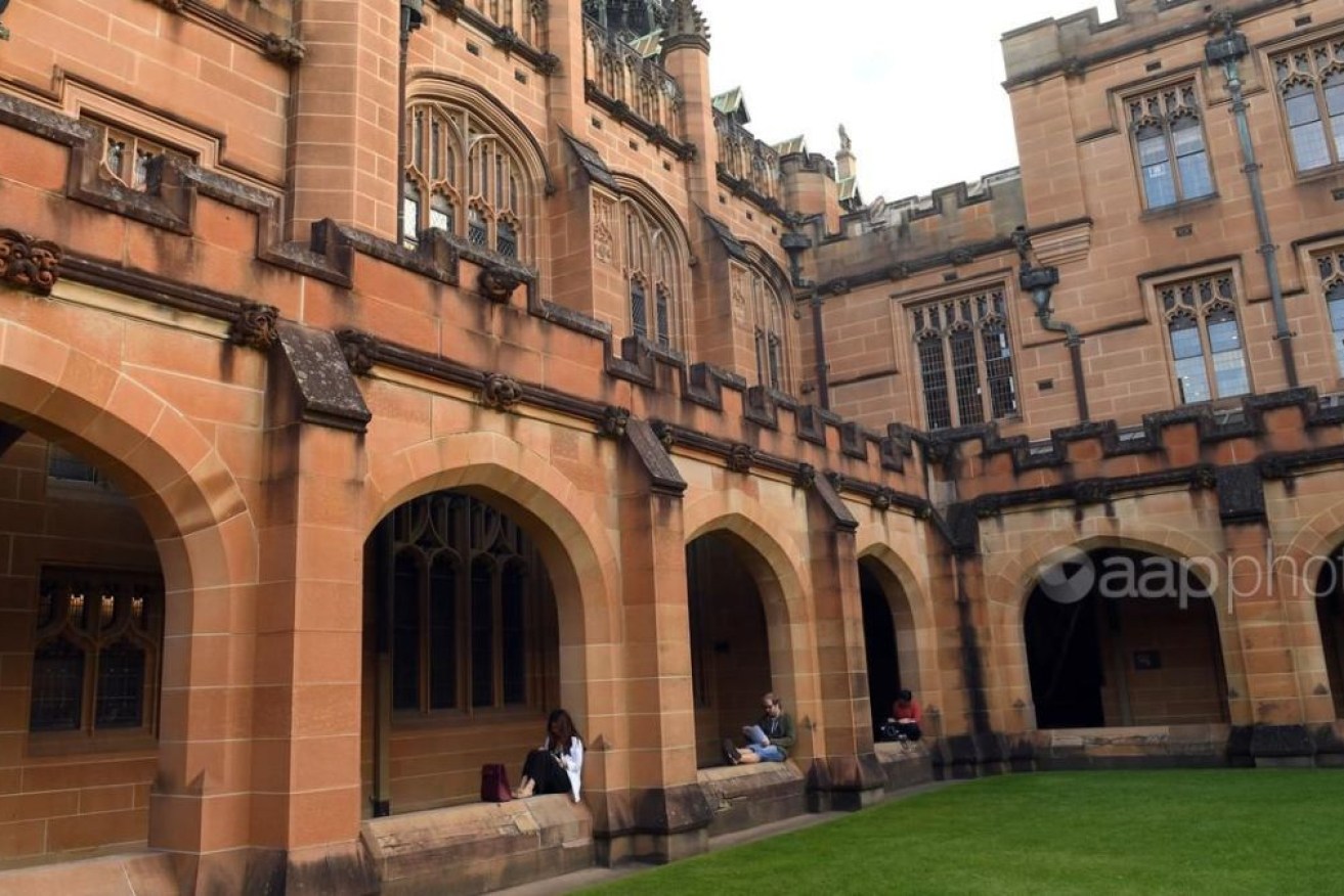 Academics say coalition plans to cut international student numbers will cost jobs.