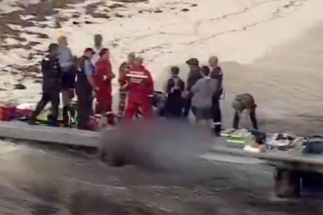 ‘Heroic’ efforts to save man killed by shark