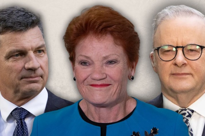 One Nation gains in polls, budget is poorly received